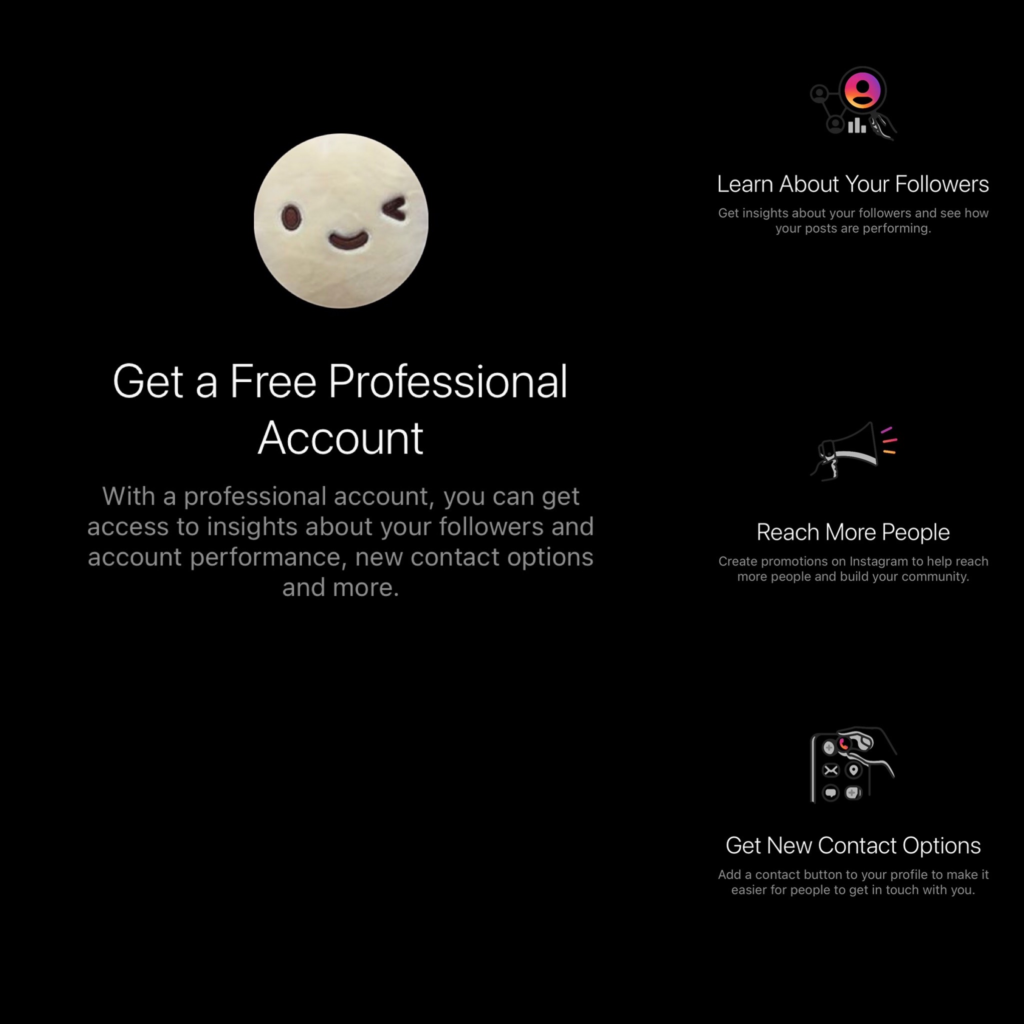 info about ig professional accounts